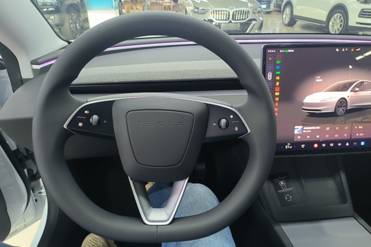 Tesla Model 3 2024 immagine di auto #11