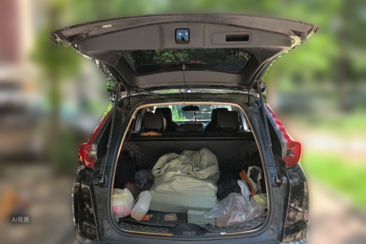 Honda CR-V 2022 car image #21