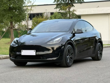 Tesla Model Y 2023 Tesla Model Y 2023 car image