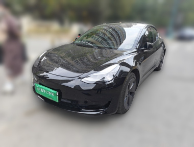 Tesla Model 3 2022 car image 