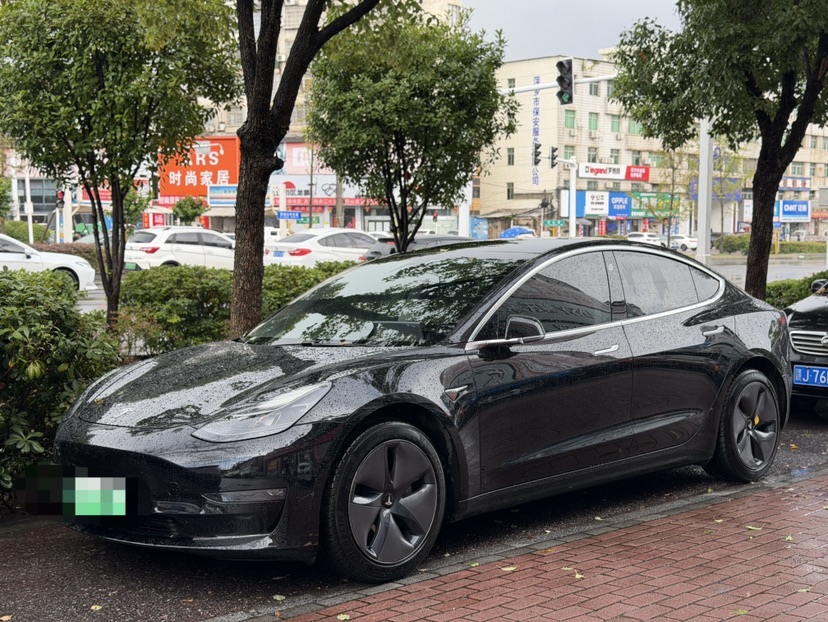 Tesla Model 3 2020 Tesla Model 3 2020 car image