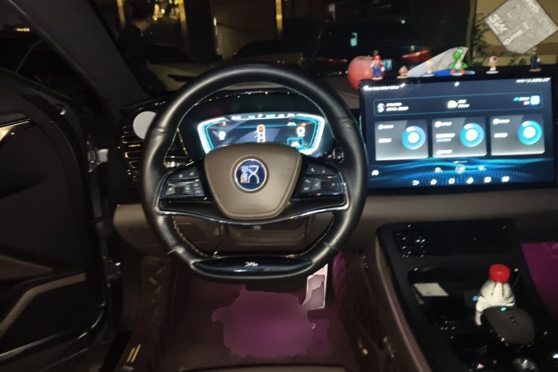 BYD Han 2021 #23 BYD Han 2021 immagine di auto #23