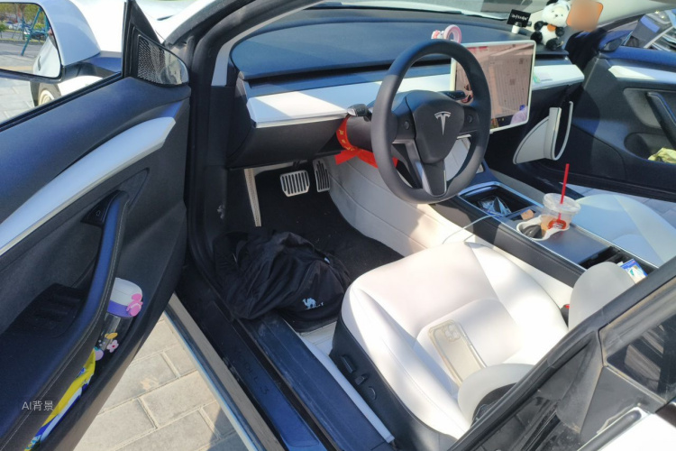 Tesla Model 3 2022 immagine di auto #18