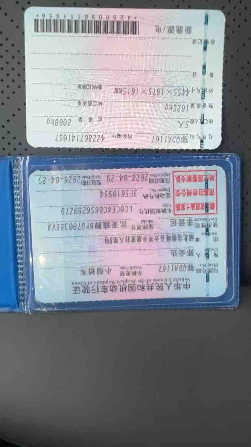 比亚迪 元PLUS 2026 汽车图片 #10