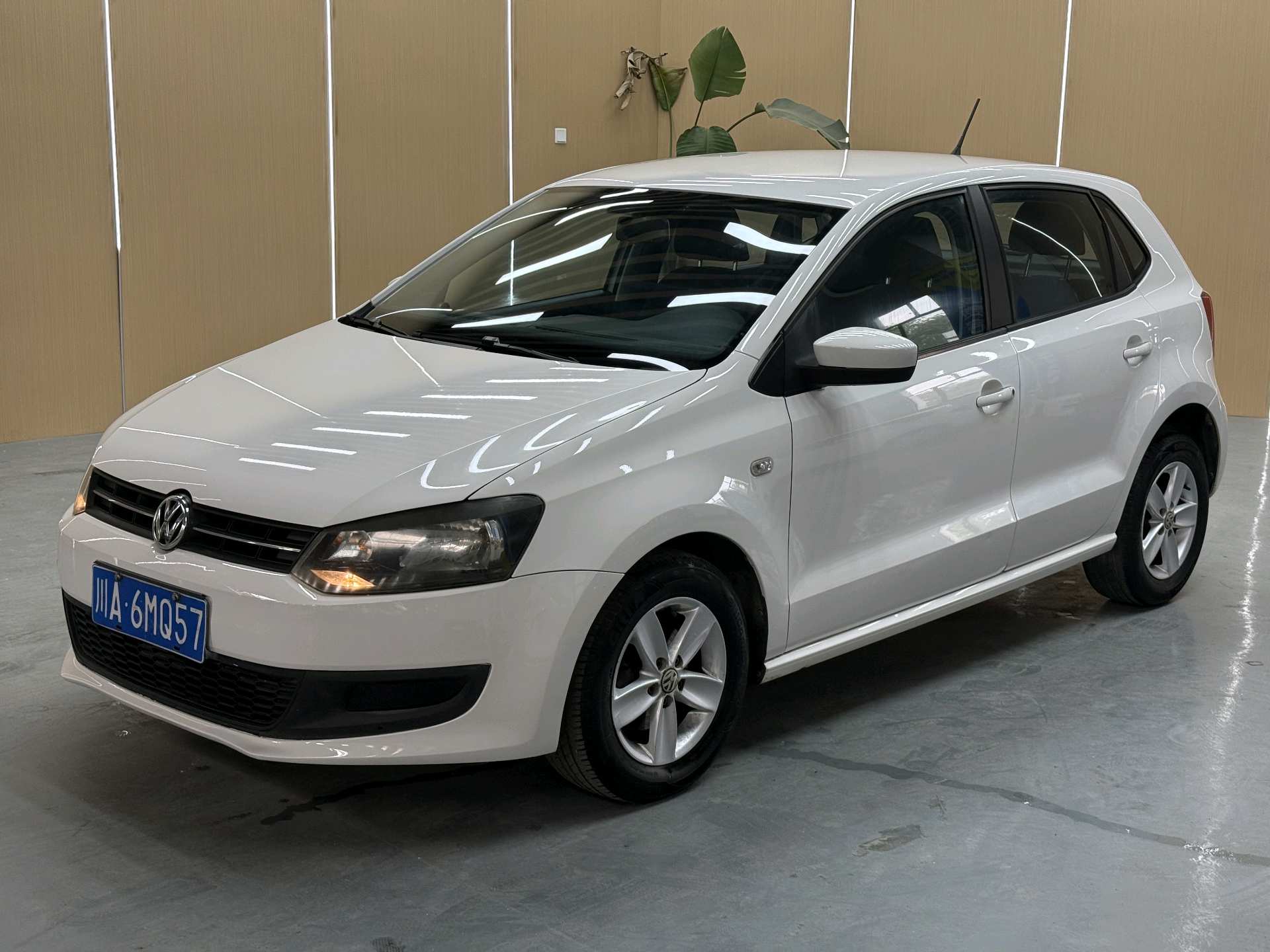 Volkswagen Polo 2011 car image 