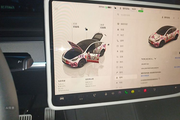 Tesla Model Y 2024 car image #15