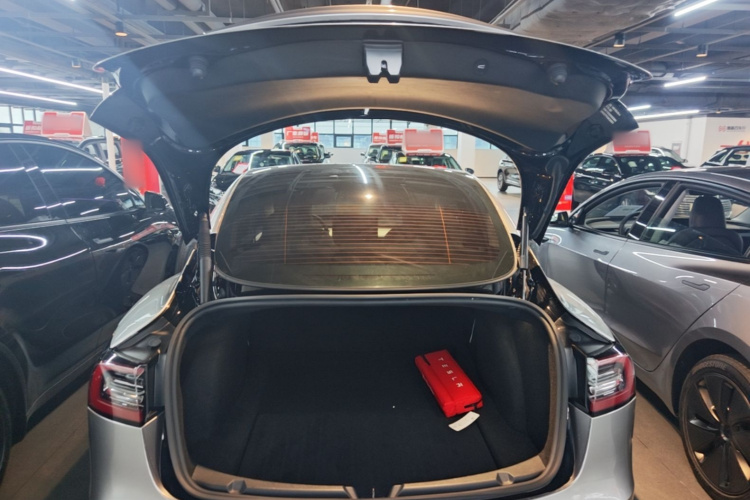 Tesla Model 3 2022 imagem de carro #19