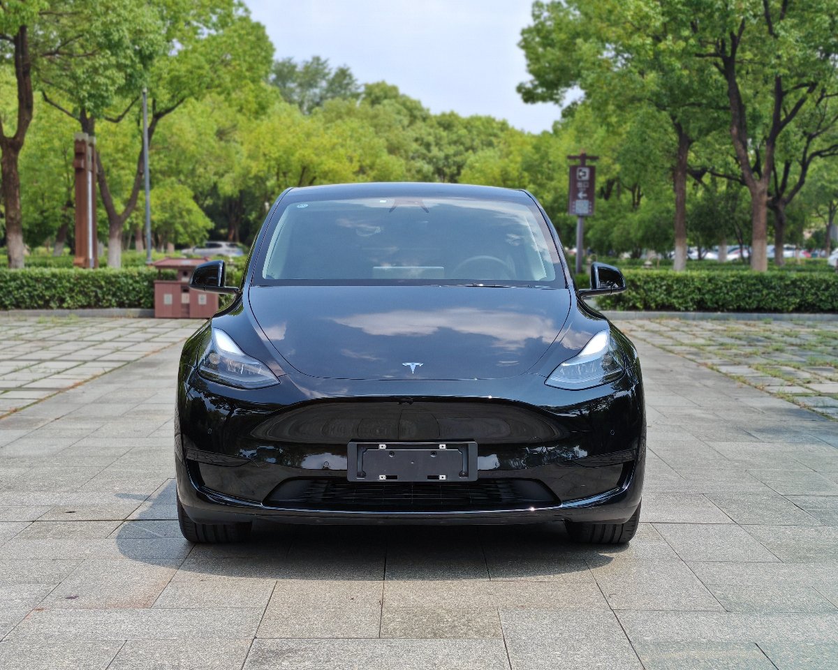 Tesla Model Y 2022 #2 Tesla Model Y 2022 car image #2