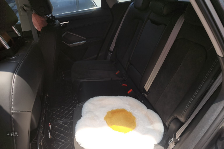 Audi Q3 2021 car image #19