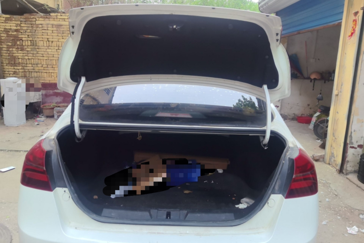 GEELY Emgrand 2019 #21 GEELY Emgrand 2019 car image #21