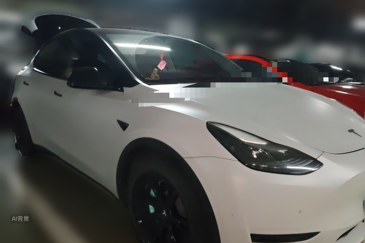 Tesla Model Y 2022 car image #4