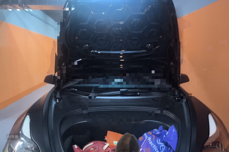 Tesla Model 3 2021 car image #22