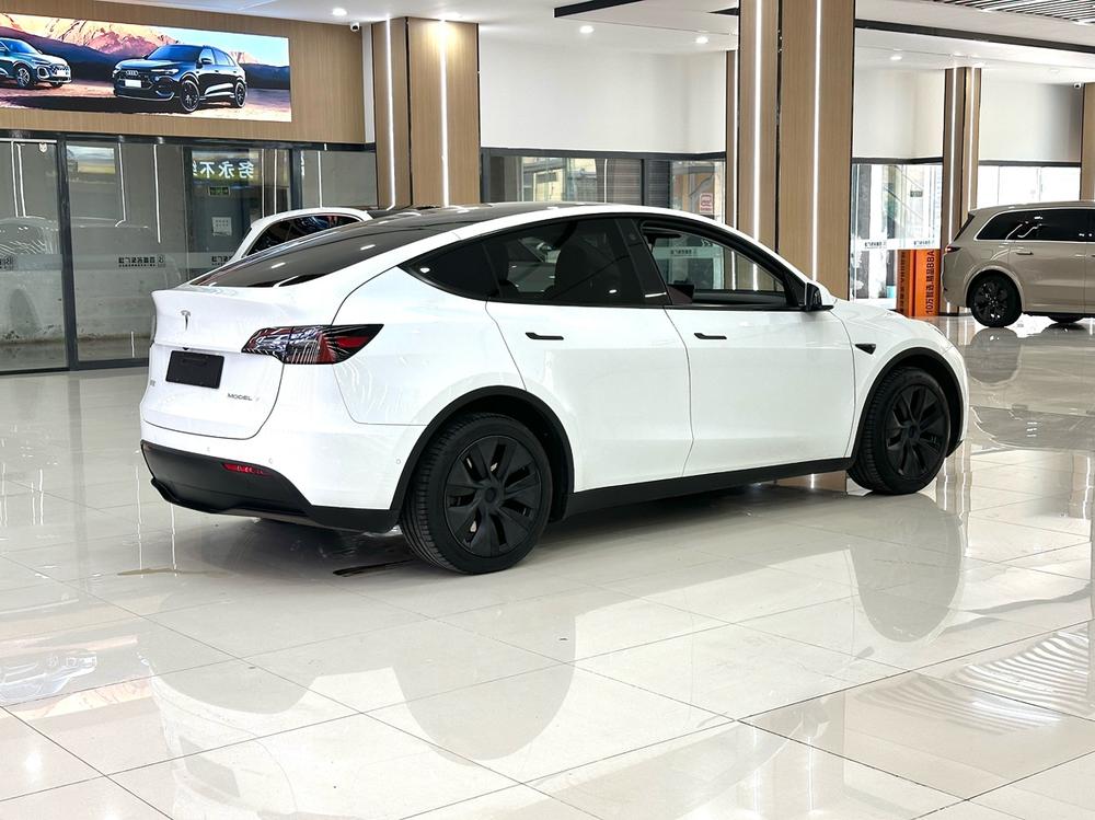 Tesla Model Y 2023 #6 Tesla Model Y 2023 car image #6