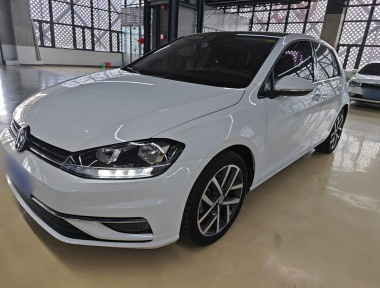 Volkswagen Golf 2019 car image 