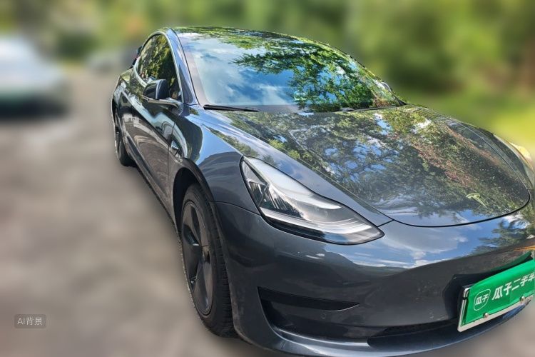 Tesla Model 3 2020 car image #4