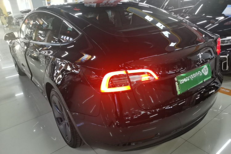 Tesla Model 3 2021 #5 Tesla Model 3 2021 car image #5