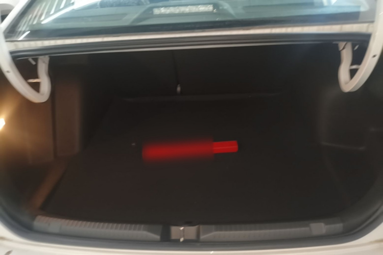 Volkswagen Bora 2026 car image #19