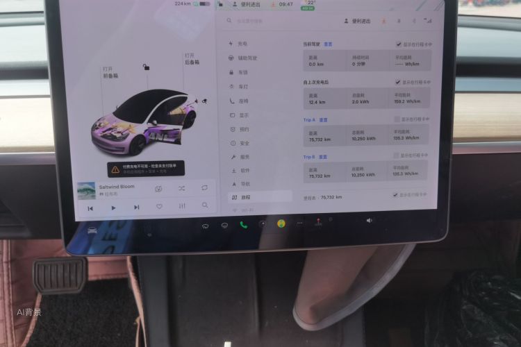 Tesla Model 3 2021 car image #15
