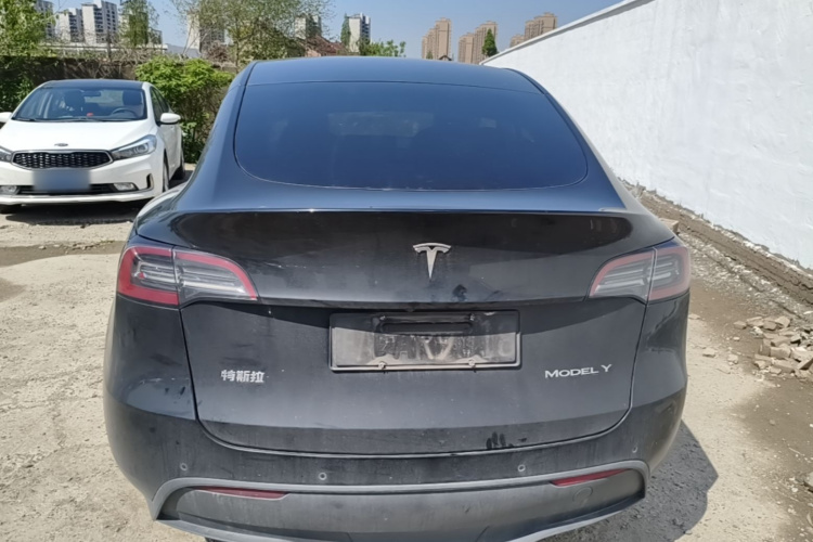 Tesla Model Y 2022 car image #6