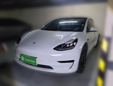 Tesla Model 3 2019 Tesla Model 3 2019 car image