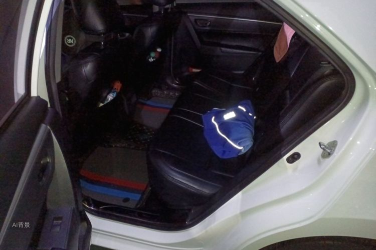 Toyota Corolla 2018 car image #19
