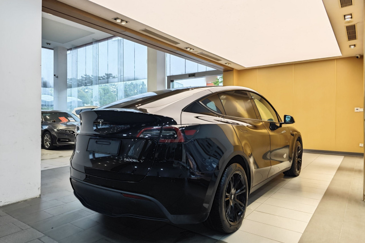 Tesla Model Y 2023 #16 Tesla Model Y 2023 car image #16