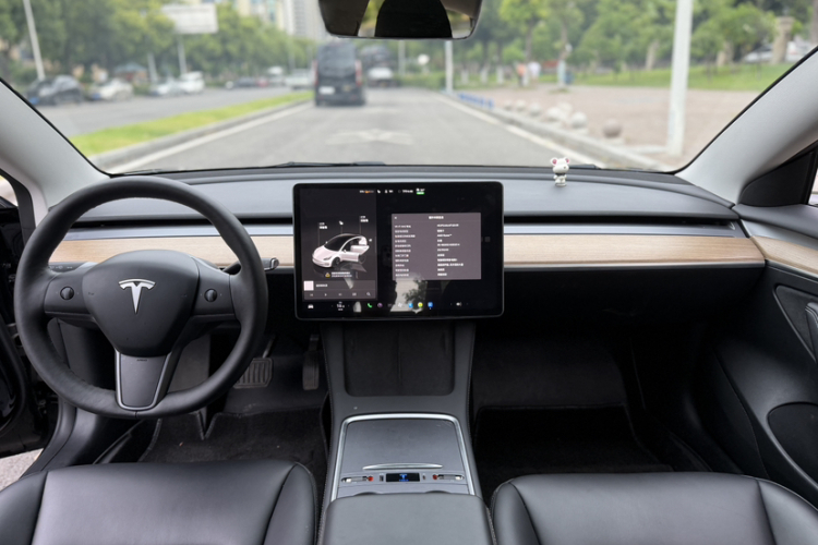 Tesla Model 3 2022 #18 Tesla Model 3 2022 car image #18