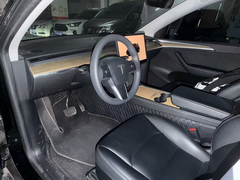 Tesla Model Y 2023 car image #6