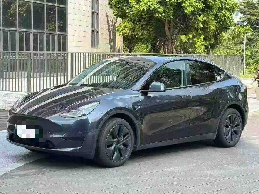 Tesla Model Y 2024 Tesla Model Y 2024 car image