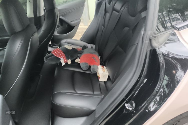 Tesla Model 3 2020 #19 Tesla Model 3 2020 car image #19