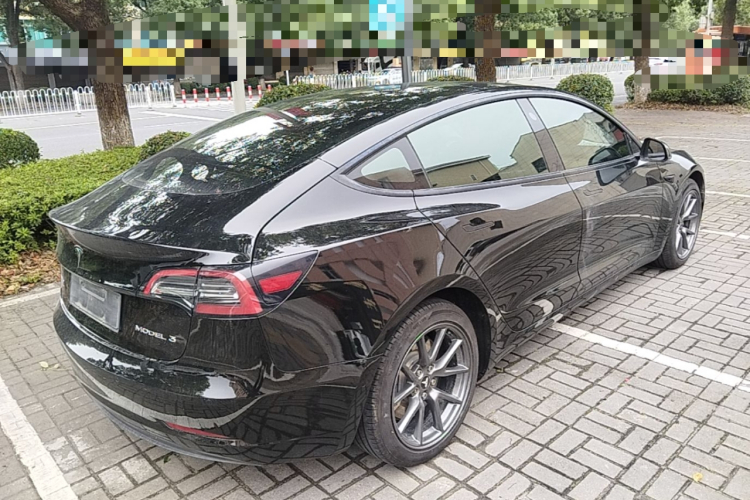 Tesla Model 3 2021 #7 Tesla Model 3 2021 car image #7