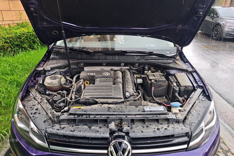 Volkswagen Golf 2020 car image #22