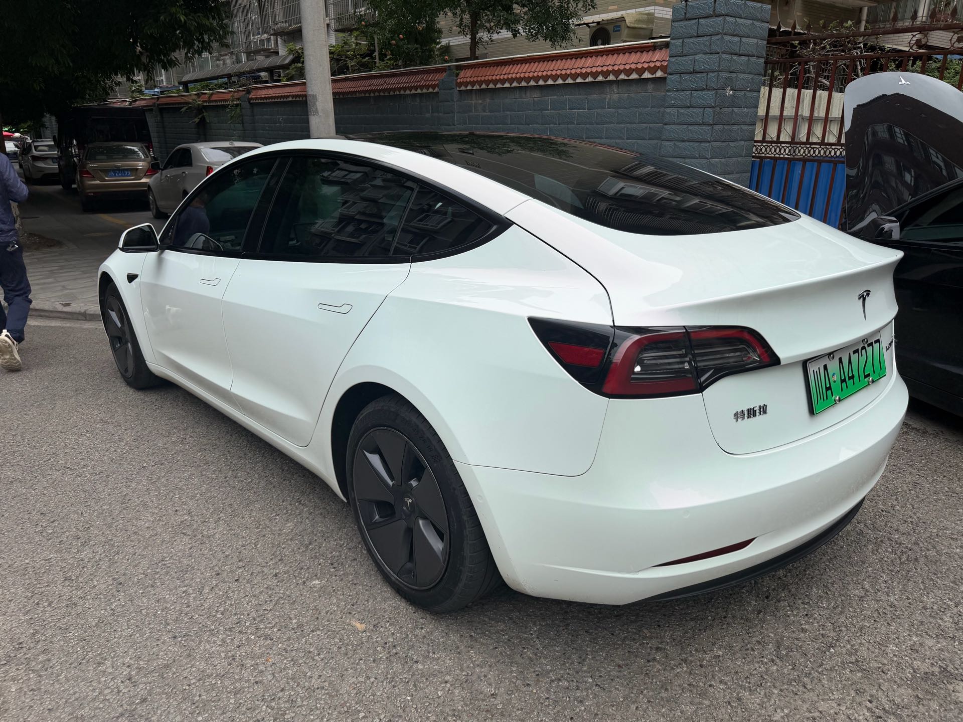 Tesla Model 3 2023 #3 Tesla Model 3 2023 car image #3