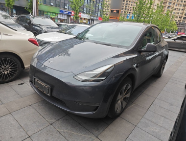 Tesla Model Y 2021 Tesla Model Y 2021 car image