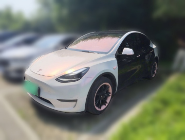 Tesla Model Y 2023 Tesla Model Y 2023 car image