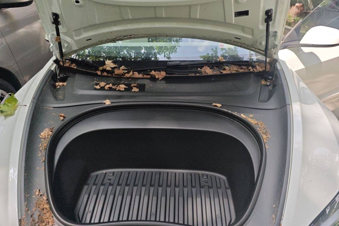 Tesla Model 3 2023 #10 Tesla Model 3 2023 car image #10