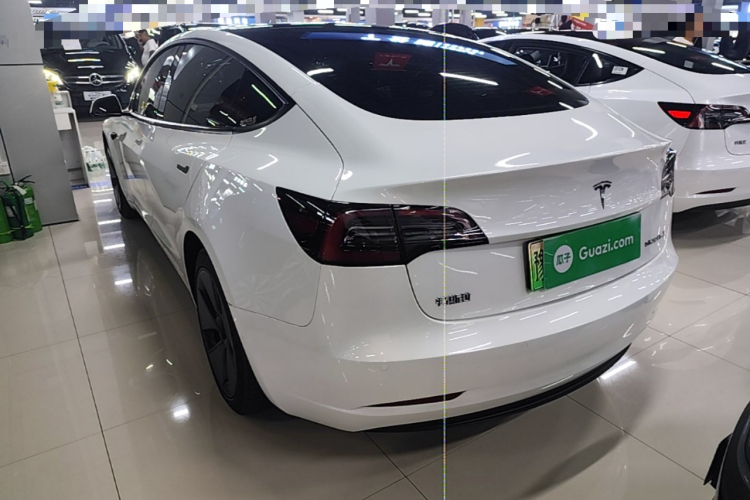 Tesla Model 3 2021 #5 Tesla Model 3 2021 car image #5