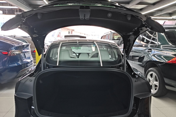 Tesla Model 3 2023 car image #19