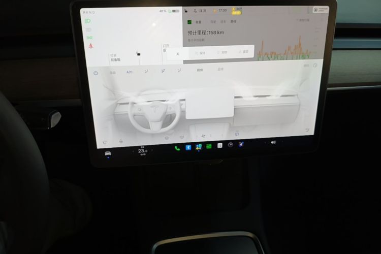 Tesla Model 3 2021 car image #13