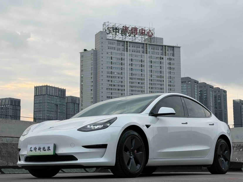 Tesla Model 3 2022 Tesla Model 3 2022 immagine di auto