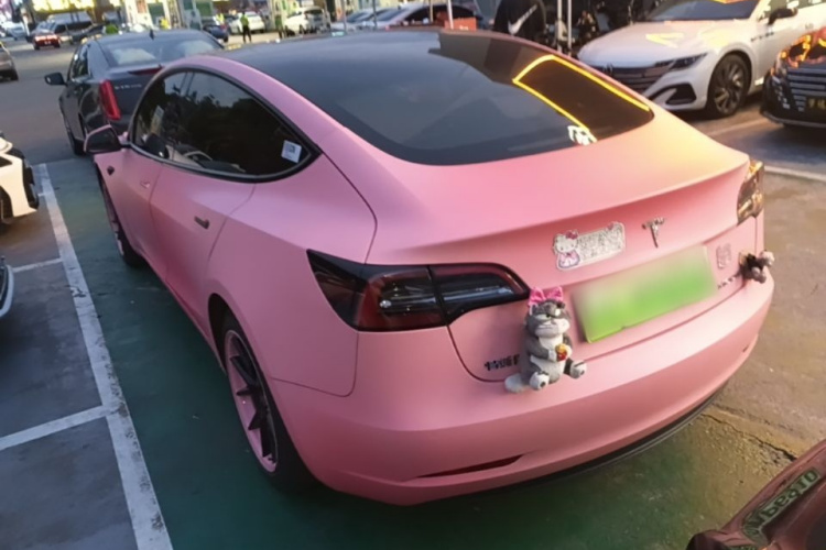 Tesla Model 3 2022 car image #5
