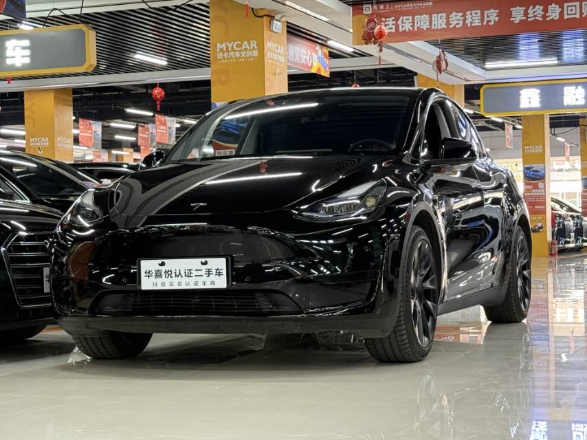 Tesla Model Y 2023 Tesla Model Y 2023 car image