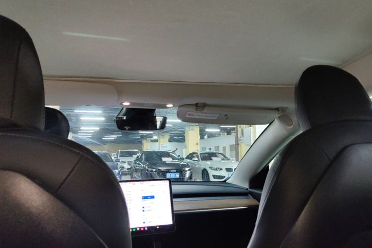 Tesla Model 3 2020 #18 Tesla Model 3 2020 صورة سيارة #18