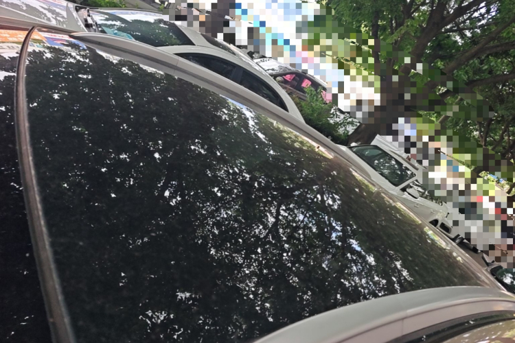 GEELY Emgrand GS 2017 image de voiture #25