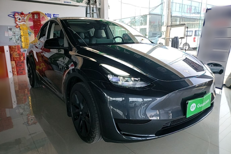 Tesla Model Y 2024 car image #4
