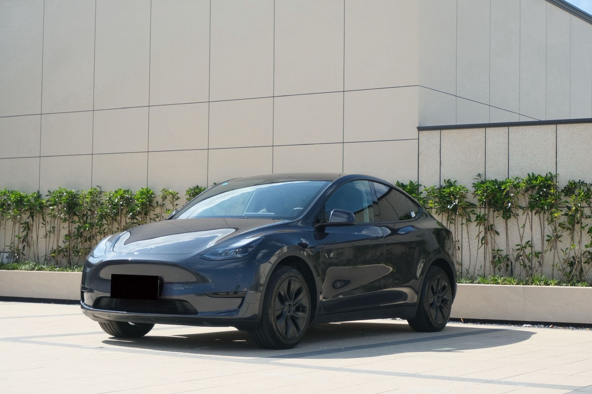Tesla Model Y 2025 car image 