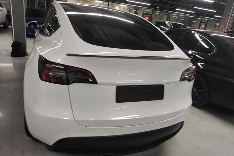 Tesla Model Y 2023 #6 Tesla Model Y 2023 car image #6