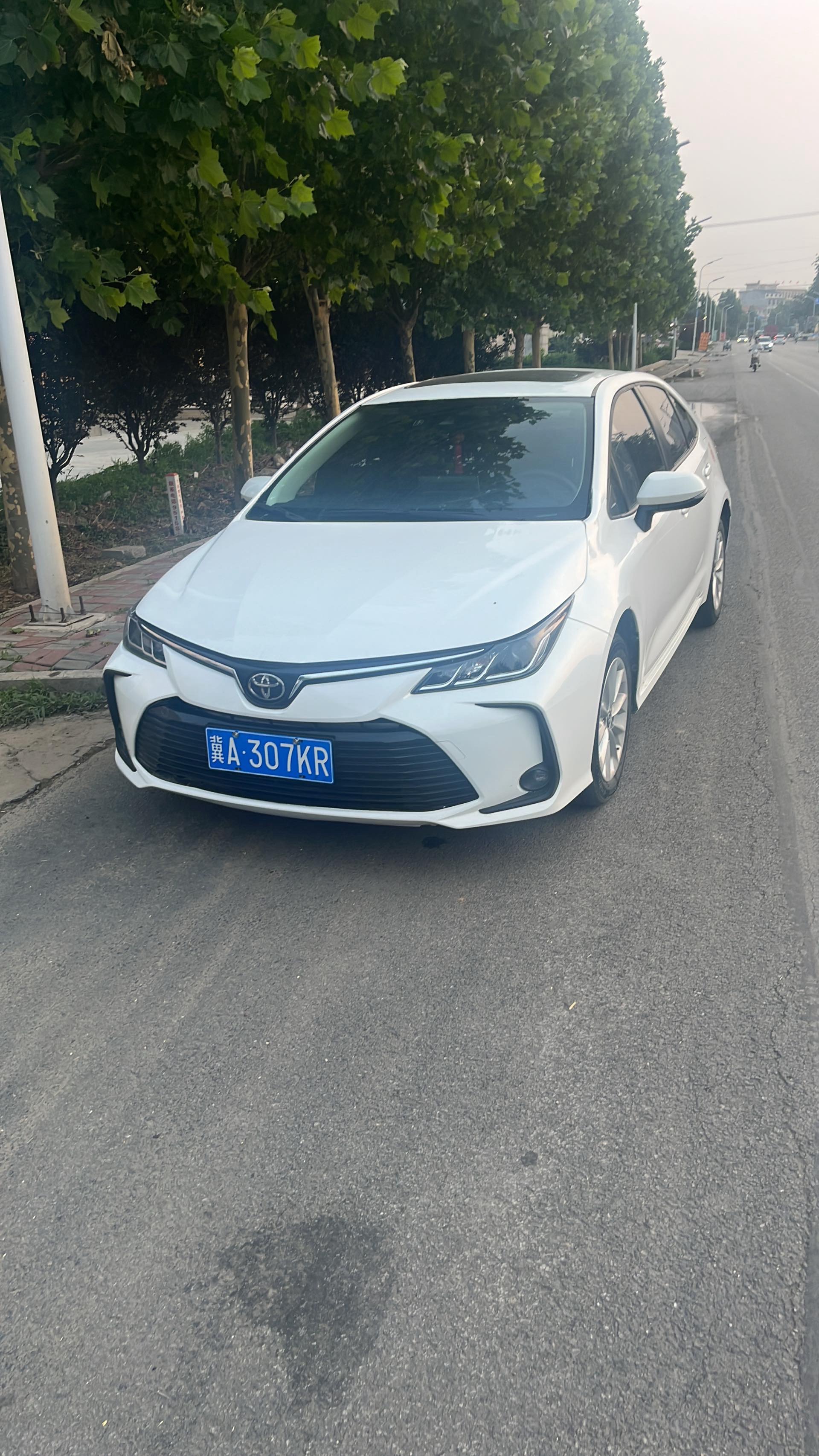 Toyota Corolla 2023 car image 