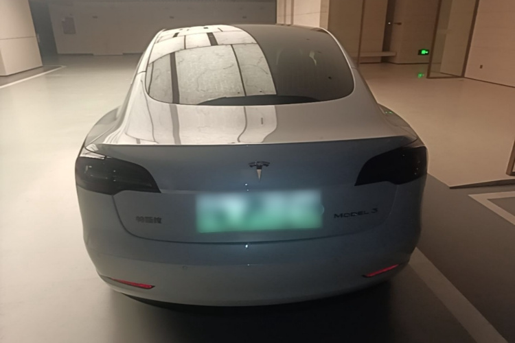Tesla Model 3 2020 car image #6