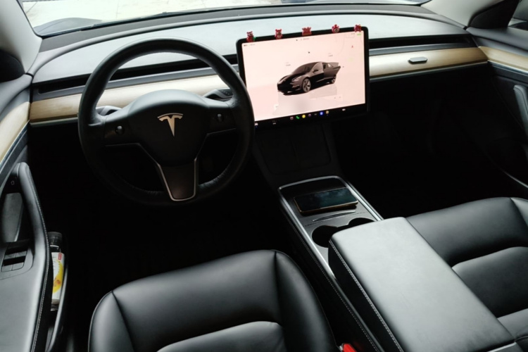 Tesla Model 3 2022 immagine di auto #10